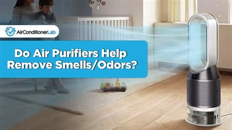 Can an Air Purifier Help with Smell? Exploring the Unseen Symphony of Odors and Technology