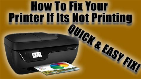 Why is HP Printer Not Printing: A Journey Through the Digital Abyss